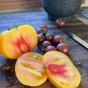 Meet your Posher, Anastasia